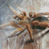 Tarantula Diamond Painting