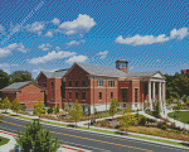 University Of Georgia Diamond Painting