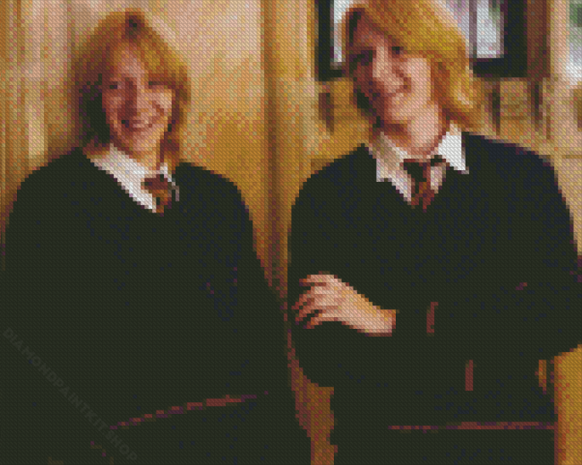 Weasley Twin Characters Diamond Painting