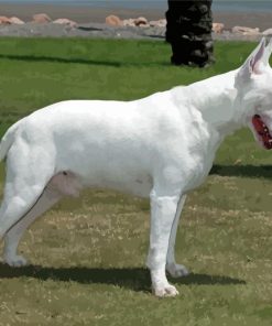 White Bull Terrier Dog Diamond Painting