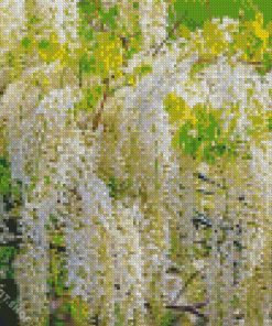 White Wisteria Diamond Painting