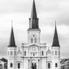 Black And White St. Louis Cathedral Diamond Painting