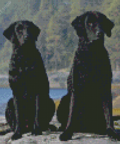 Black Curly Dogs Diamond Painting