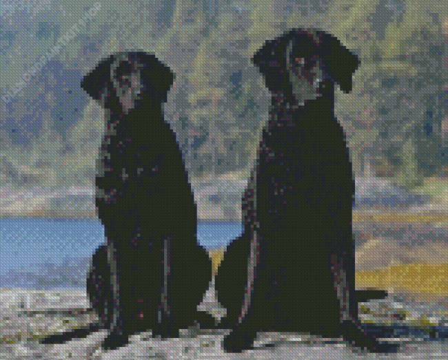 Black Curly Dogs Diamond Painting
