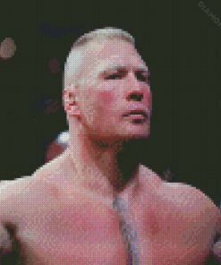Brock Lesnar Wrestler Diamond Painting