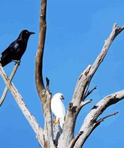 Dead Tree And Birds Diamond Painting