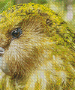 Strigops Kakapo Diamond Painting
