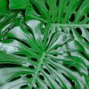 Monstera Leaves Diamond Painting