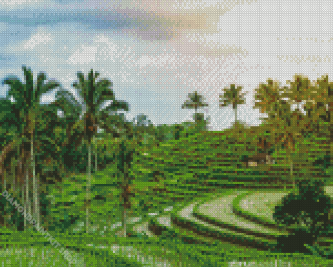 Paddy Field Diamond Painting