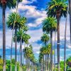 Palm Trees Street Beverly Hills Diamond Painting