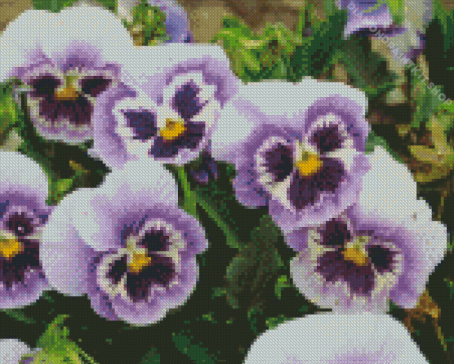 Pansy Flower Diamond Painting