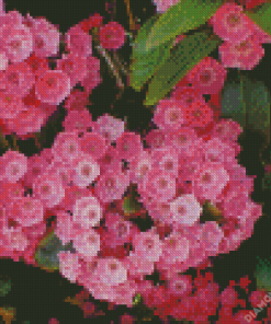 Pink Mountain Laurel Flowers Diamond Painting
