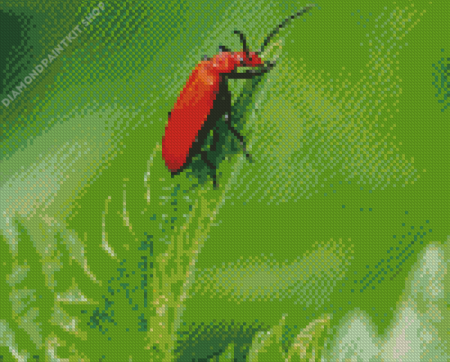 Red Beetle Diamond Painting