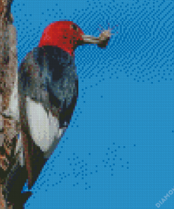 Red Headed Woodpecker Diamond Painting
