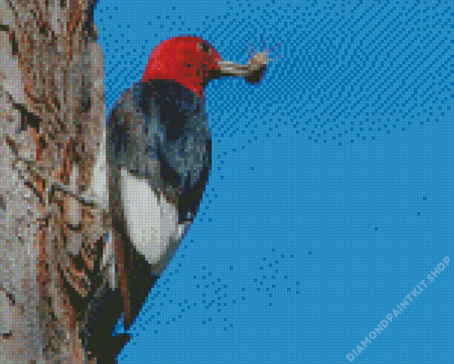 Red Headed Woodpecker Diamond Painting