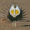 Sage Grouse Diamond Painting