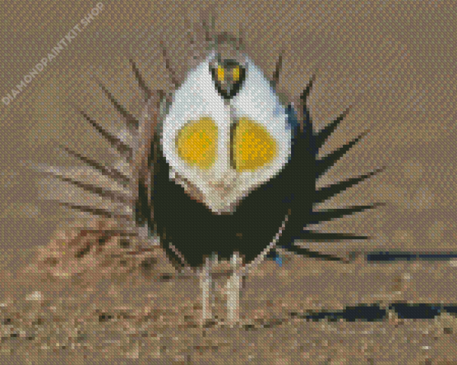 Sage Grouse Diamond Painting