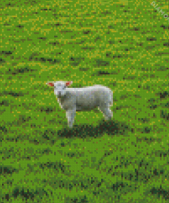 Sheep Lamp In Field Diamond Painting
