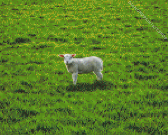 Sheep Lamp In Field Diamond Painting