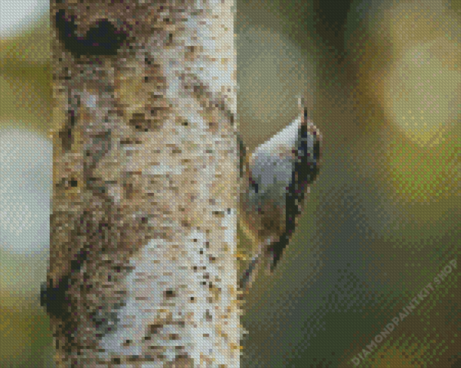 Short Toed Treecreeper Diamond Painting