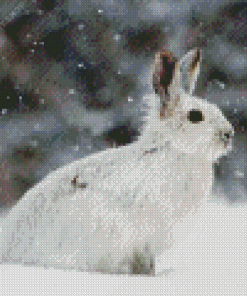 Snowshoe Hare Diamond Painting