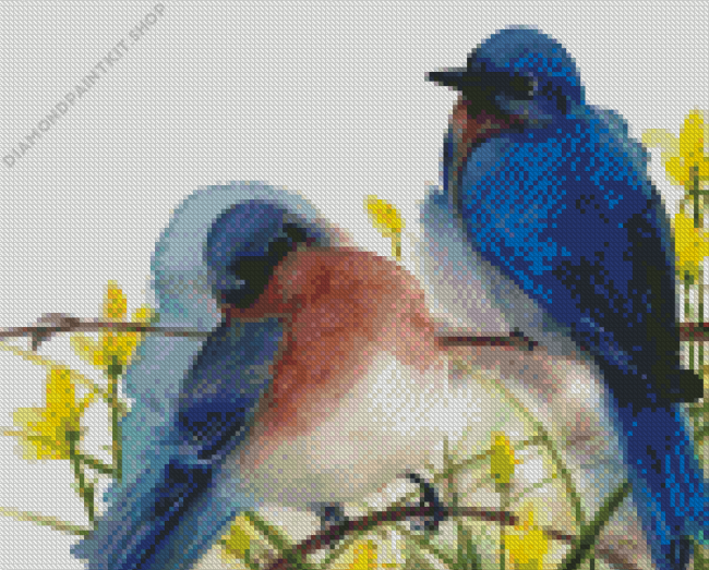 Two Blue Birds Diamond Painting
