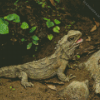 Wild Tuatara Animal Diamond Painting