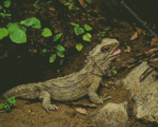 Wild Tuatara Animal Diamond Painting