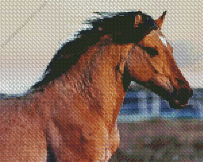 Kiger Mustang Diamond Painting