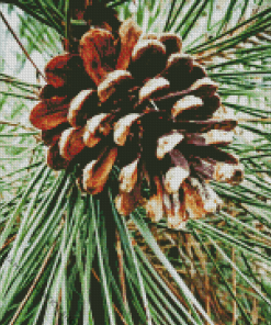 Pine Cones Diamond Painting