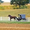 Amish Horse and Buggy Diamond Painting