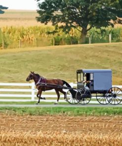 Amish Horse and Buggy Diamond Painting
