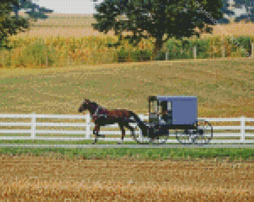 Amish Horse and Buggy Diamond Painting