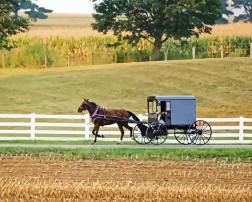 Amish Horse and Buggy Diamond Painting