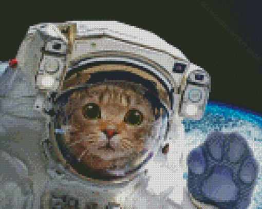 Astronaut Animal Diamond Painting