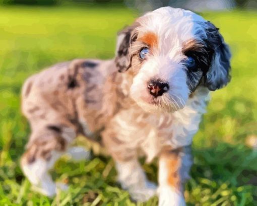 Aussiedoodle Diamond Painting