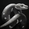 Black and White Snake Diamond Painting