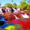 Cano Cristales River Diamond Painting