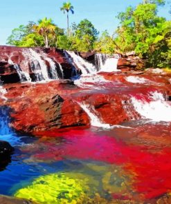 Cano Cristales River Diamond Painting