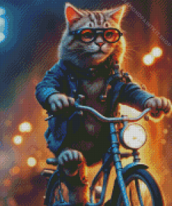 Cat on The Bike Diamond Painting