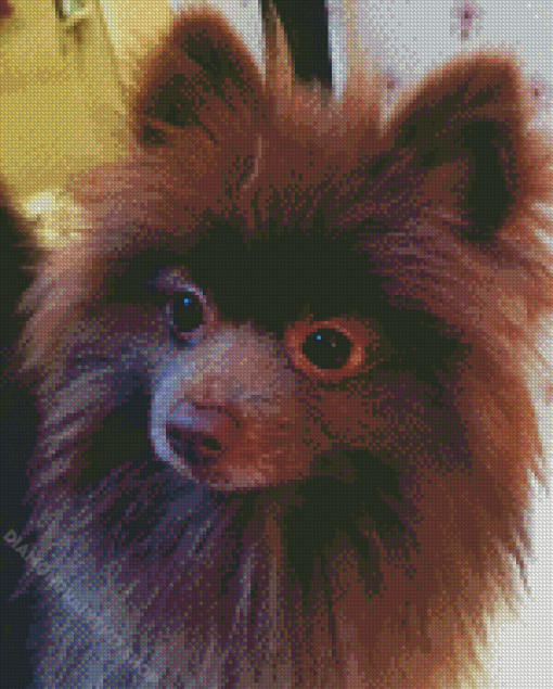 Chocolate Pomeranian Diamond Painting