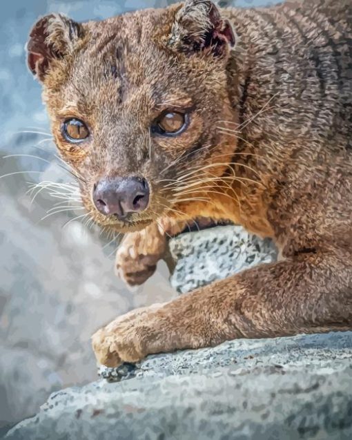 Fossa Animal Diamond Painting