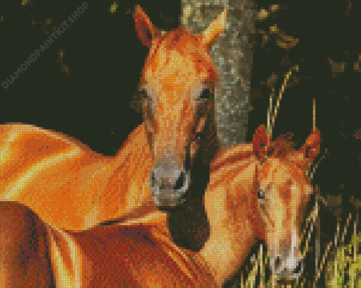 Red Horse With Foal Diamond Painting
