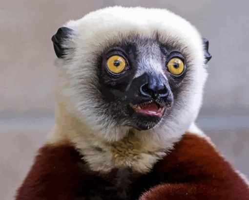 Sifaka Animal Diamond Painting