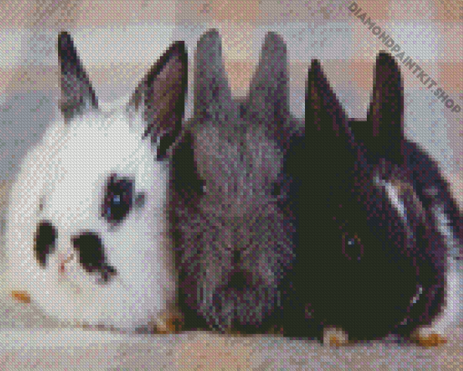 Three Rabbits Diamond Painting