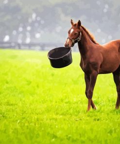 Brown Domestic Horse Diamond Painting