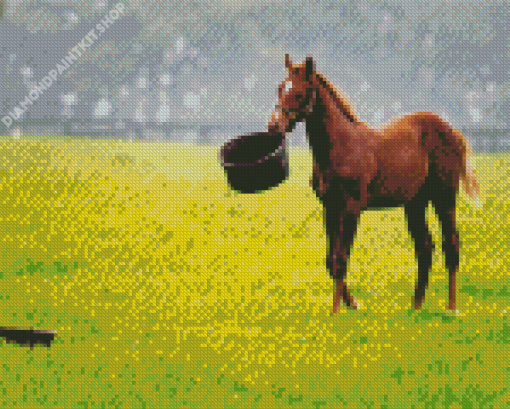 Brown Domestic Horse Diamond Painting
