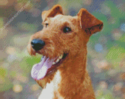 Irish Terrier Diamond Painting