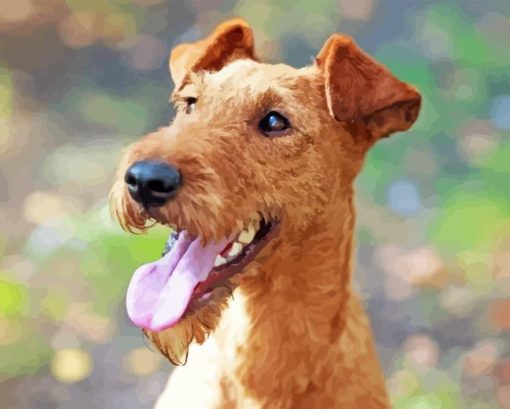 Irish Terrier Diamond Painting