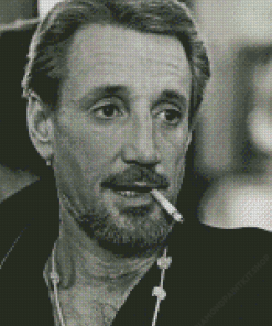 Monochrome Roy Scheider Diamond Painting